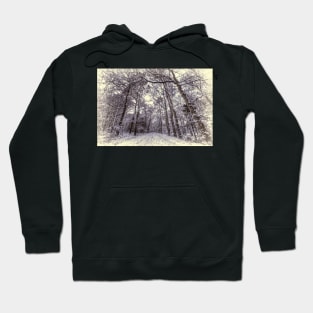 Winter Forest Path Hoodie